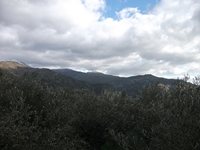 cantara gurne23122011 103